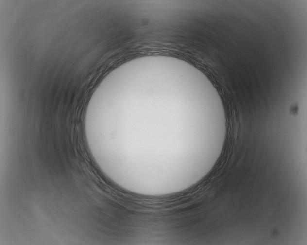 X0000116850225200912220948