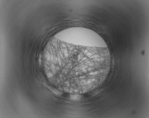 X0000116850226200912220948