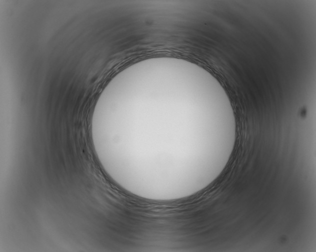 X0000116850229200912220948