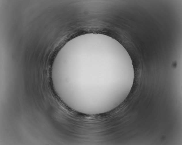 X0000116850232200912220948