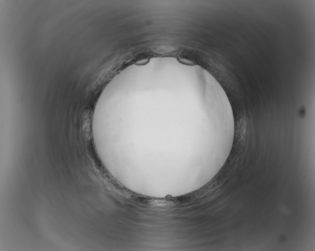 X0000116850234200912220948
