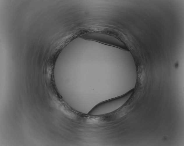 X0000116850235200912220948