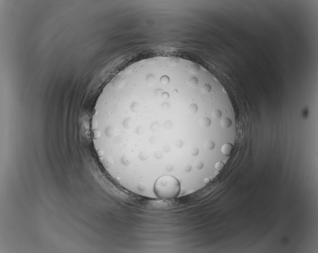 X0000116850238200912220948