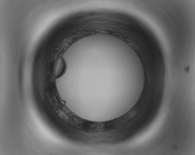 X0000116850239200912220948