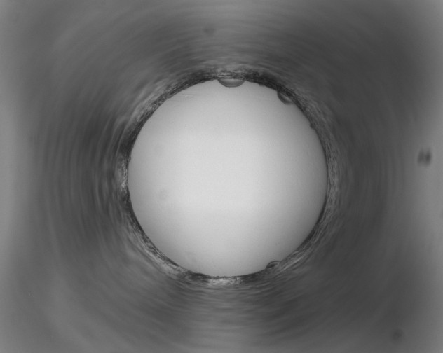 X0000116850240200912220948