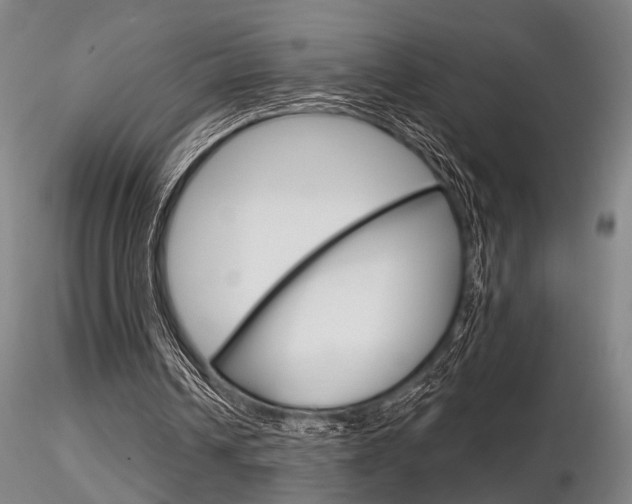 X0000116850242200912220947