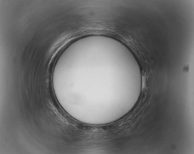 X0000116850243200912220947
