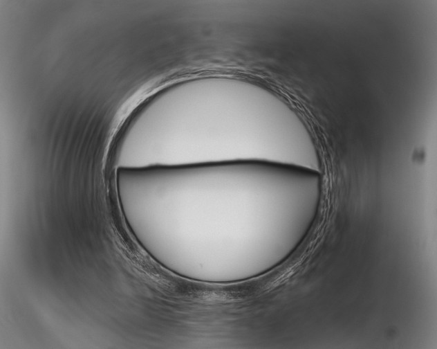 X0000116850246200912220948