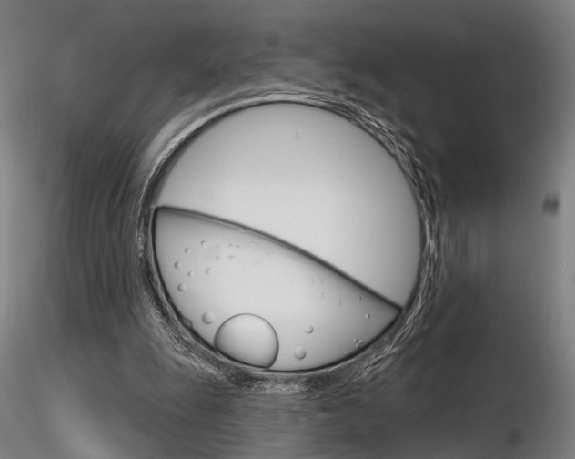 X0000116850247200912220948