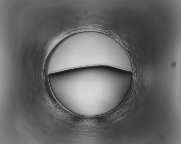 X0000116850248200912220948