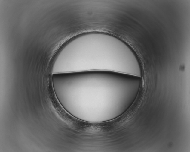 X0000116850252200912220948