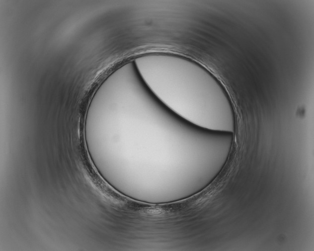 X0000116850253200912220948