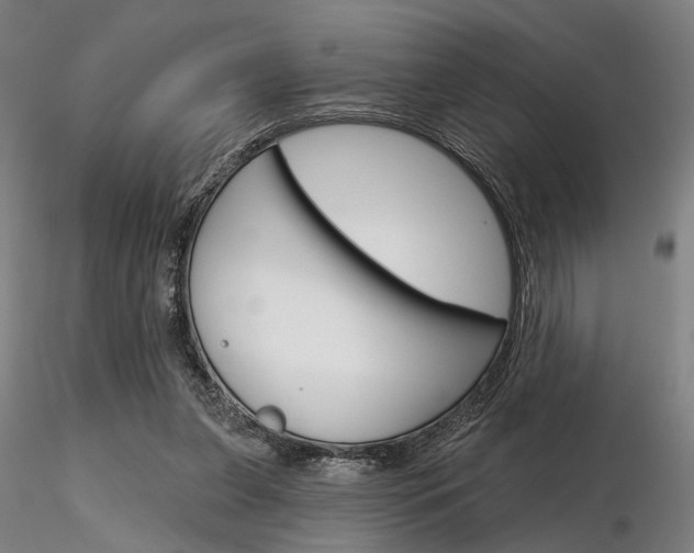 X0000116850255200912220948