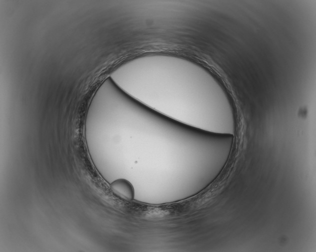 X0000116850257200912220948