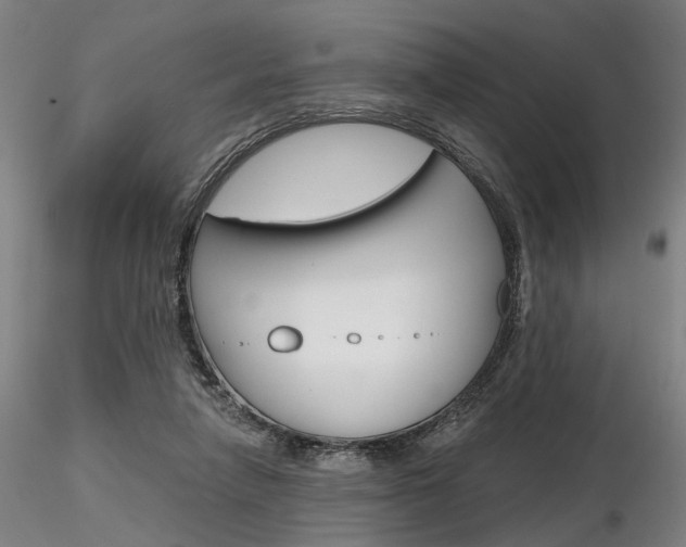 X0000116850258200912220948