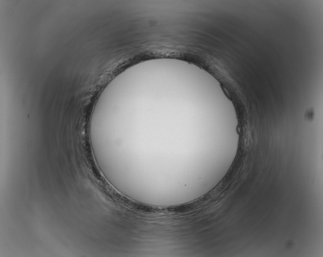 X0000116850259200912220948