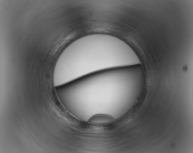 X0000116850260200912220948