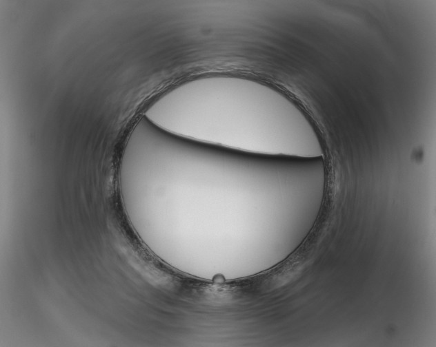 X0000116850261200912220948