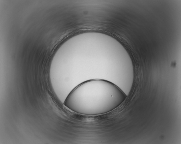 X0000116850264200912220948