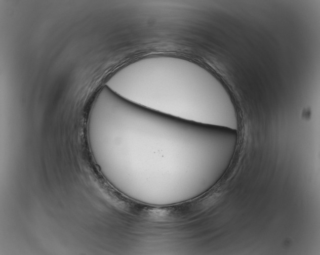 X0000116850265200912220948
