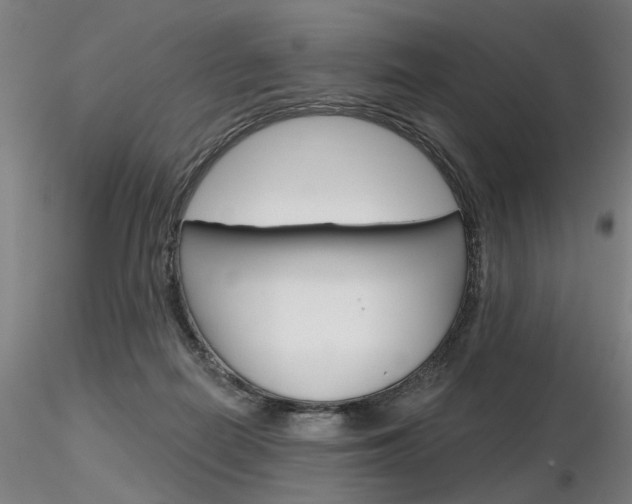 X0000116850266200912220948