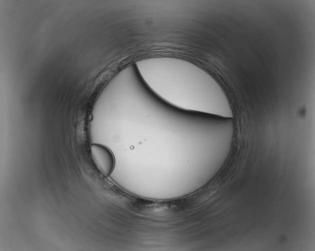 X0000116850267200912220948