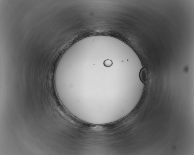 X0000116850269200912220948