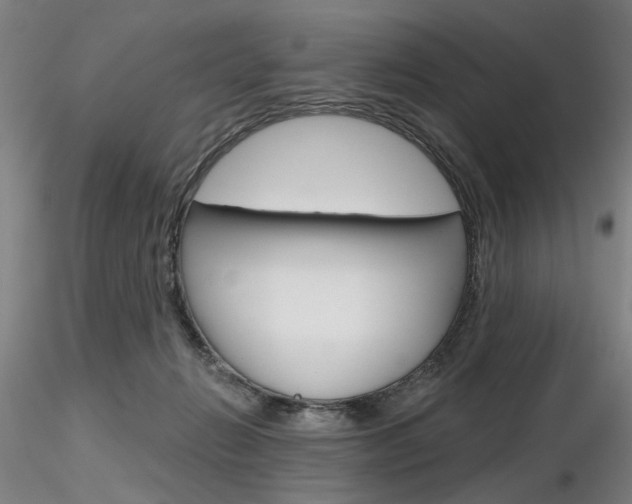 X0000116850270200912220948