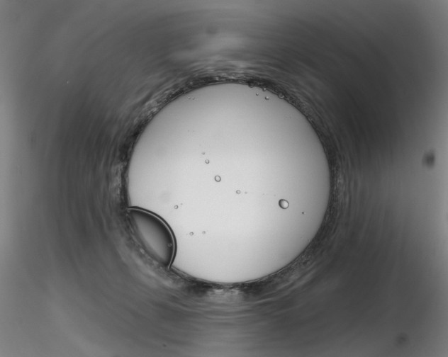 X0000116850271200912220948