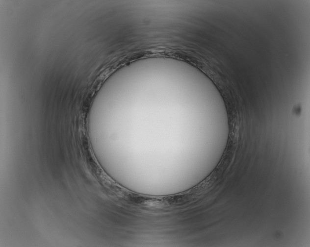X0000116850272200912220948