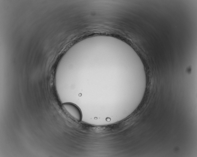 X0000116850273200912220948