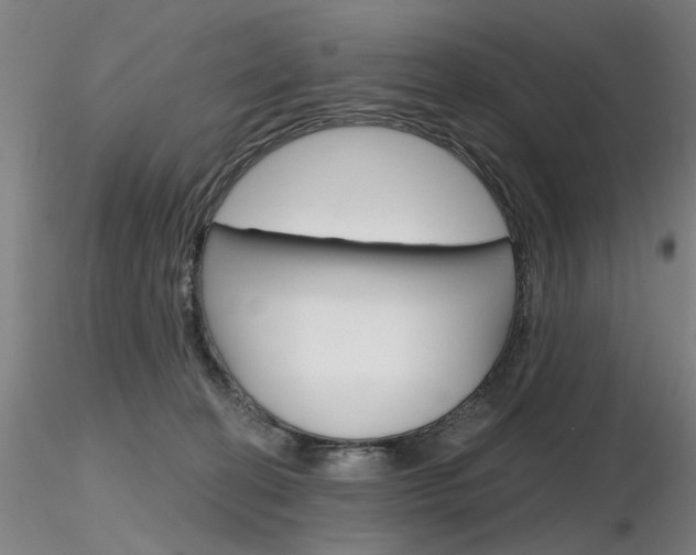 X0000116850274200912220948