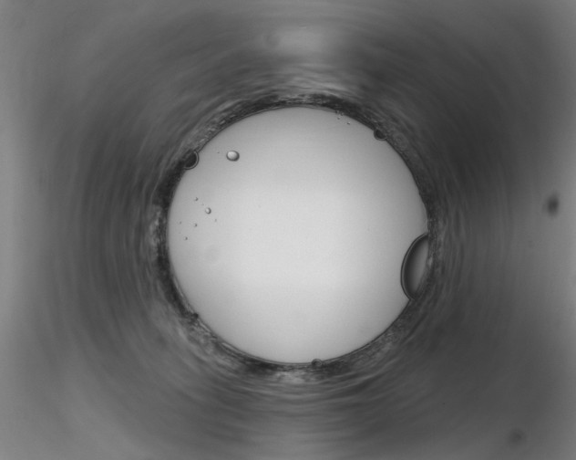 X0000116850275200912220948