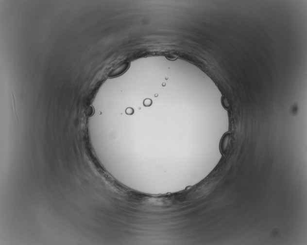 X0000116850277200912220948