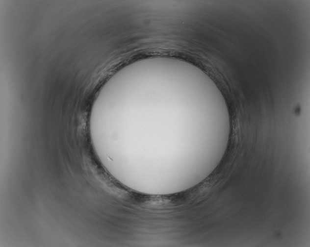 X0000116850278200912220948
