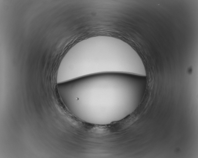X0000116850280200912220948