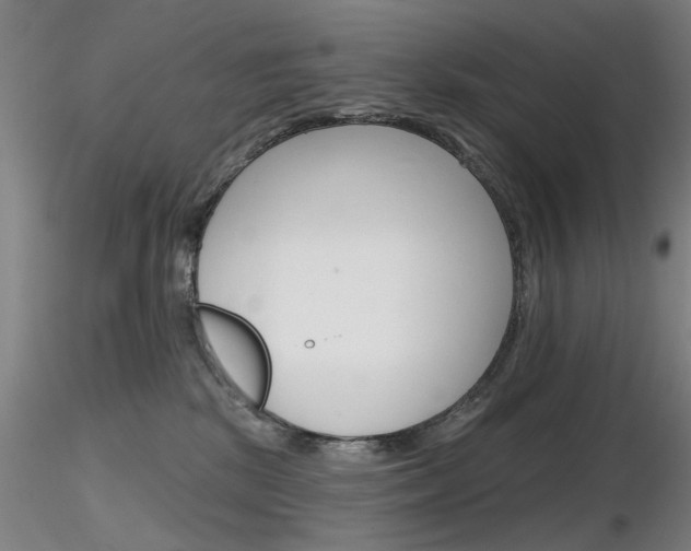 X0000116850281200912220948