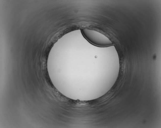 X0000116850283200912220948