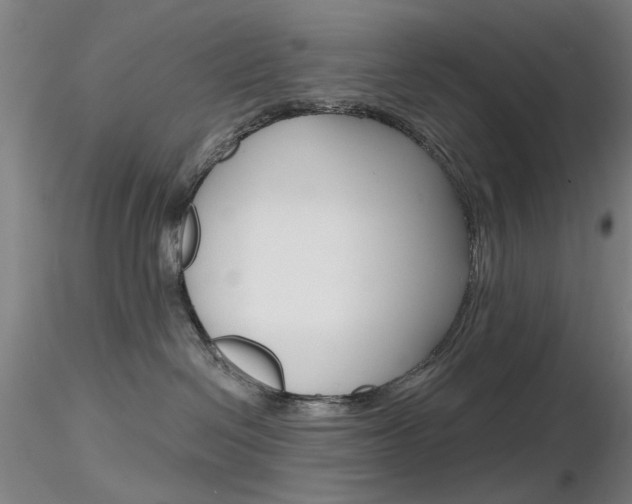 X0000116850286200912220948