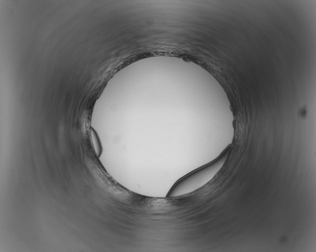 X0000116850287200912220948