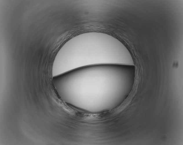 X0000116850288200912220948