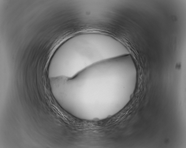 X0000116850289200912220947