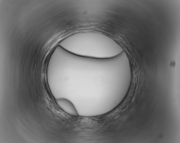 X0000116850290200912220947