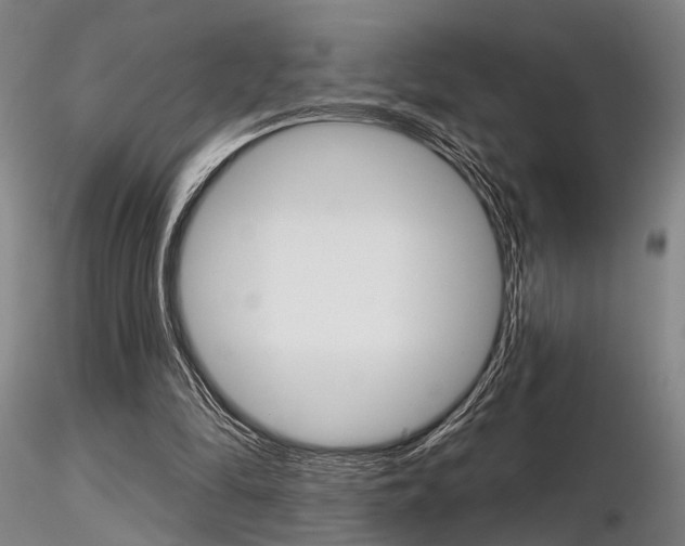 X0000116850294200912220947