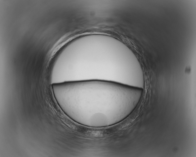 X0000116850295200912220947