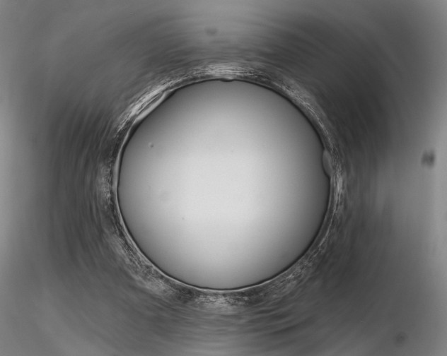 X0000116850297200912220947