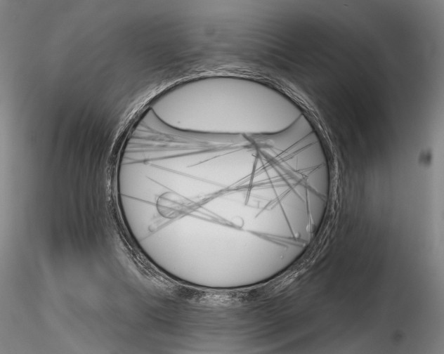 X0000116850298200912220947