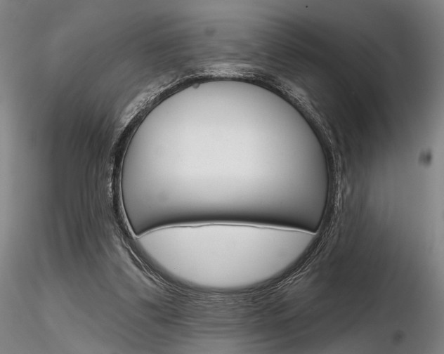 X0000116850299200912220947