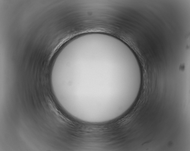 X0000116850300200912220947