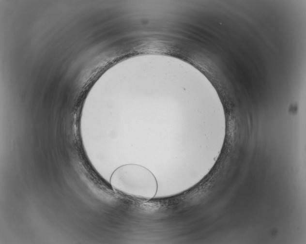 X0000116850302200912220947